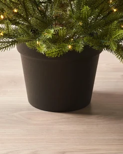 WeRChristmas Pre-Lit Potted Douglas Fir Christmas Tree, 3 Ft