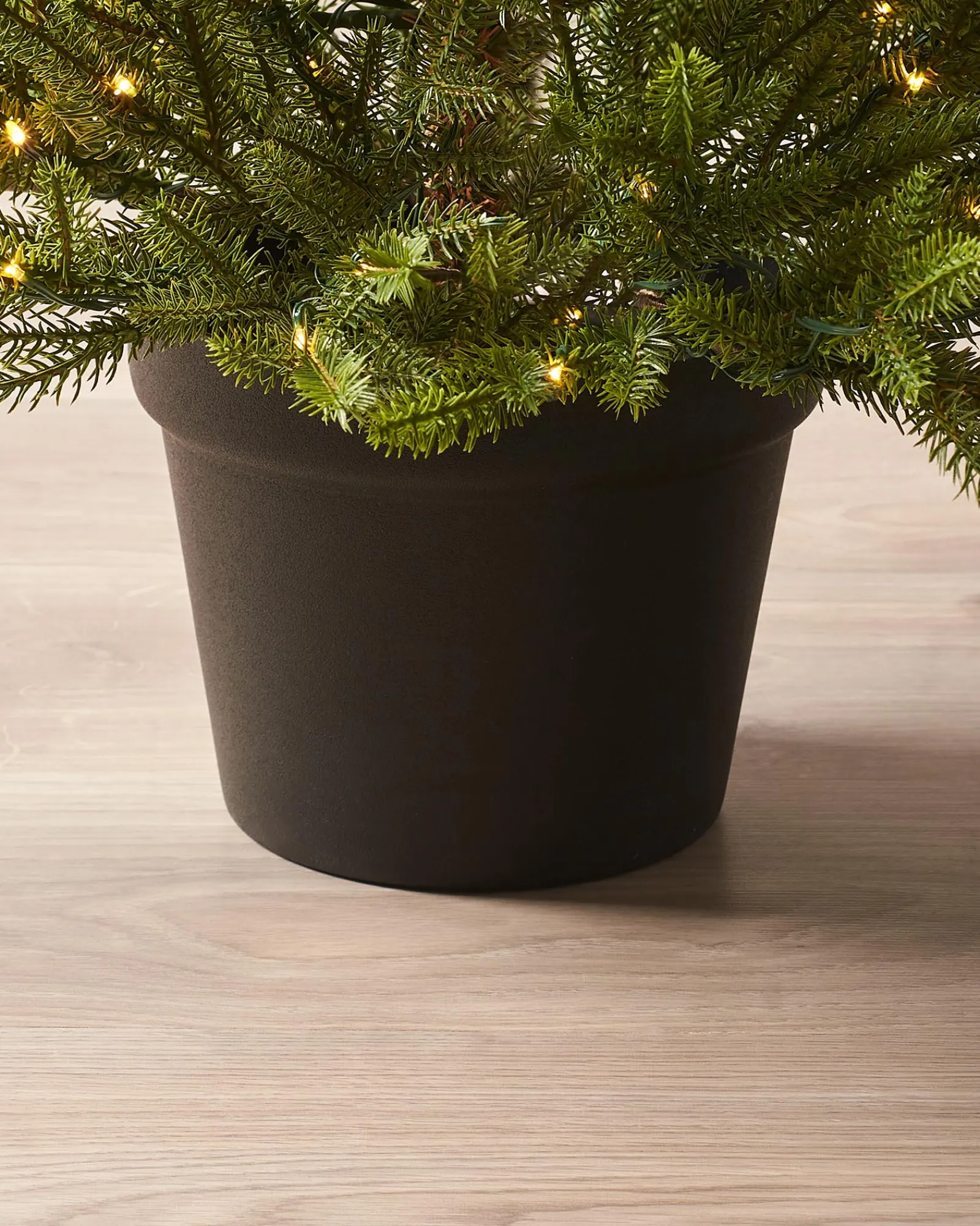 WeRChristmas Pre-Lit Potted Douglas Fir Christmas Tree, 3 Ft