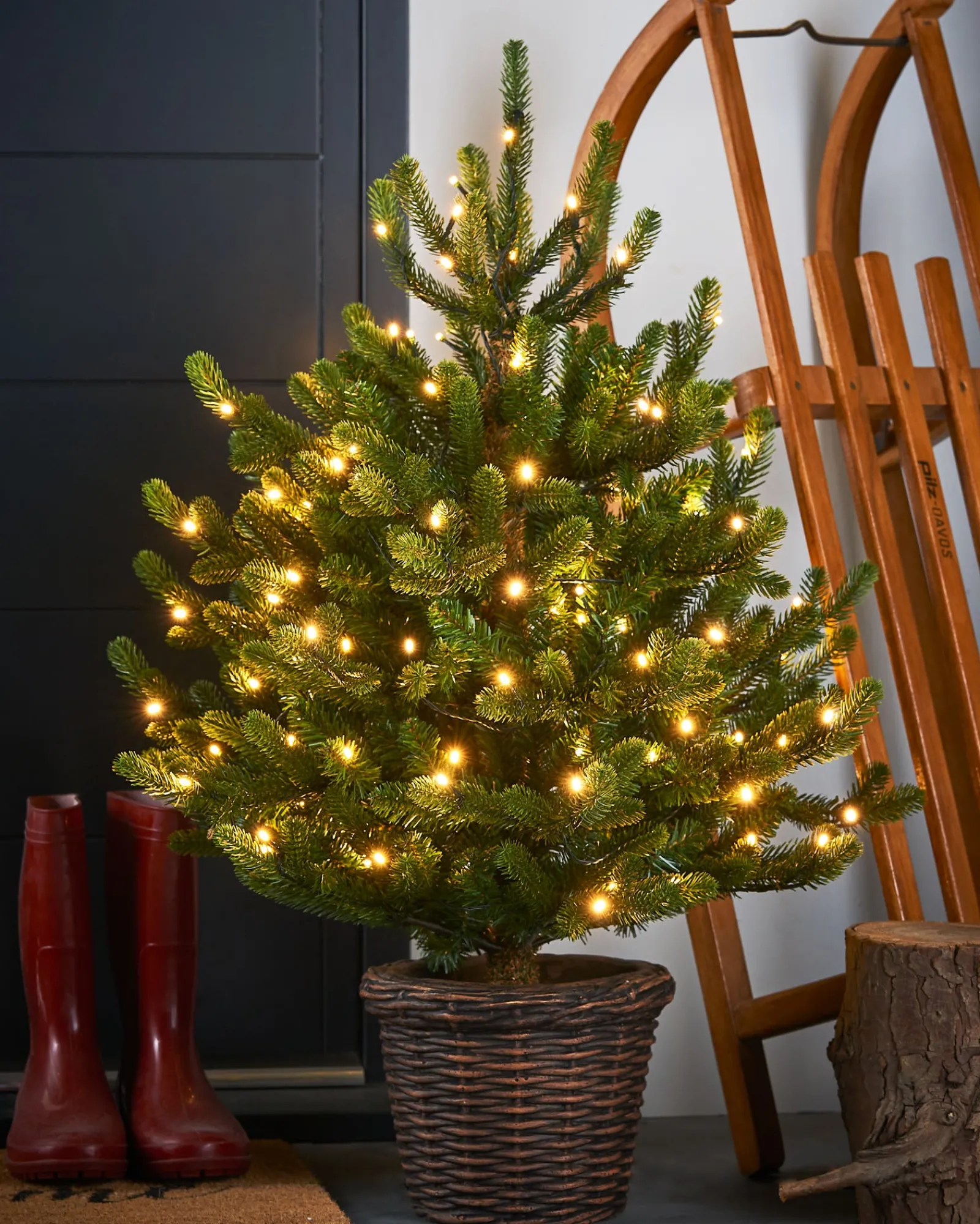 WeRChristmas Pre-Lit Potted Dwarf Fir Christmas Tree, 3 Ft