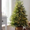 WeRChristmas Pre-Lit Potted Pine Christmas Tree, 4 Ft