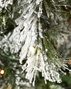 WeRChristmas Pre-Lit Slim Snow Flocked Spruce Christmas Tree, 7 Ft