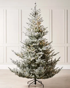 WeRChristmas Pre-Lit Snow Flocked Douglas Fir Christmas Tree, 9 Ft