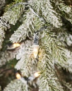 WeRChristmas Pre-Lit Snow Flocked Fraser Fir Christmas Tree, 7 Ft