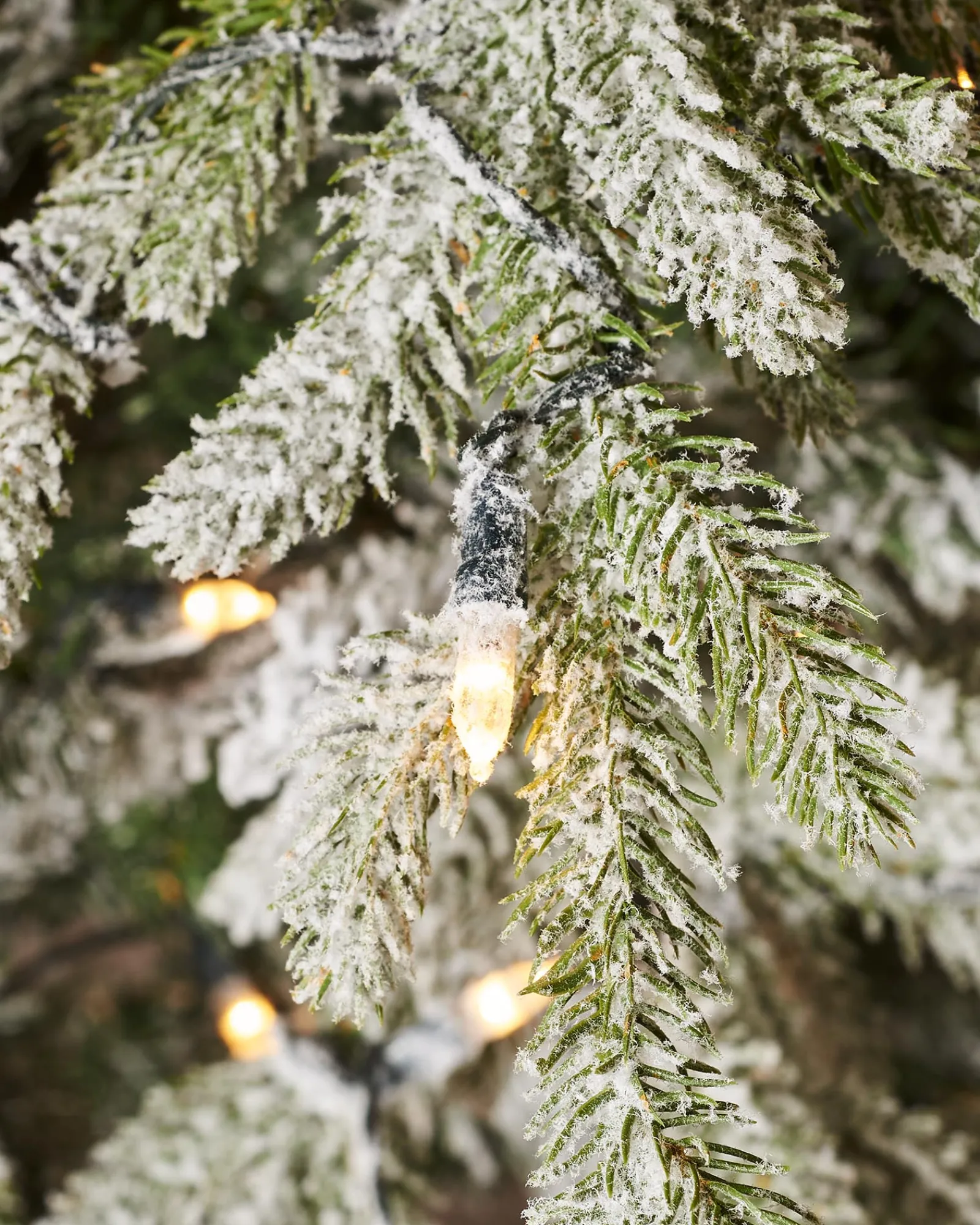 WeRChristmas Pre-Lit Snow Flocked Fraser Fir Christmas Tree, 7 Ft