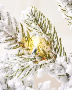 WeRChristmas Pre-Lit Snow Flocked Potted Christmas Tree, 3 Ft