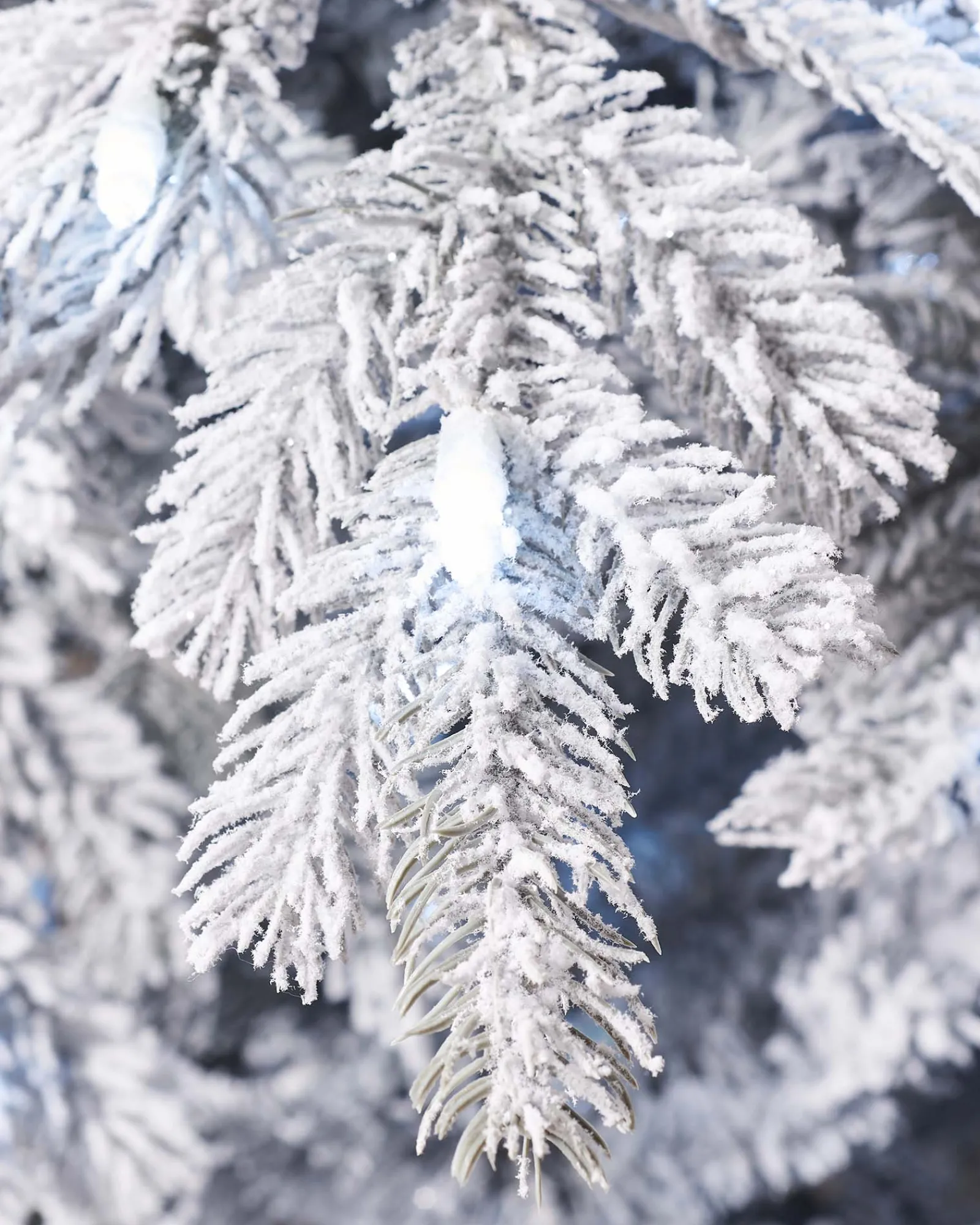 WeRChristmas Pre-Lit Snow Flocked Spruce Christmas Tree, 7 Ft