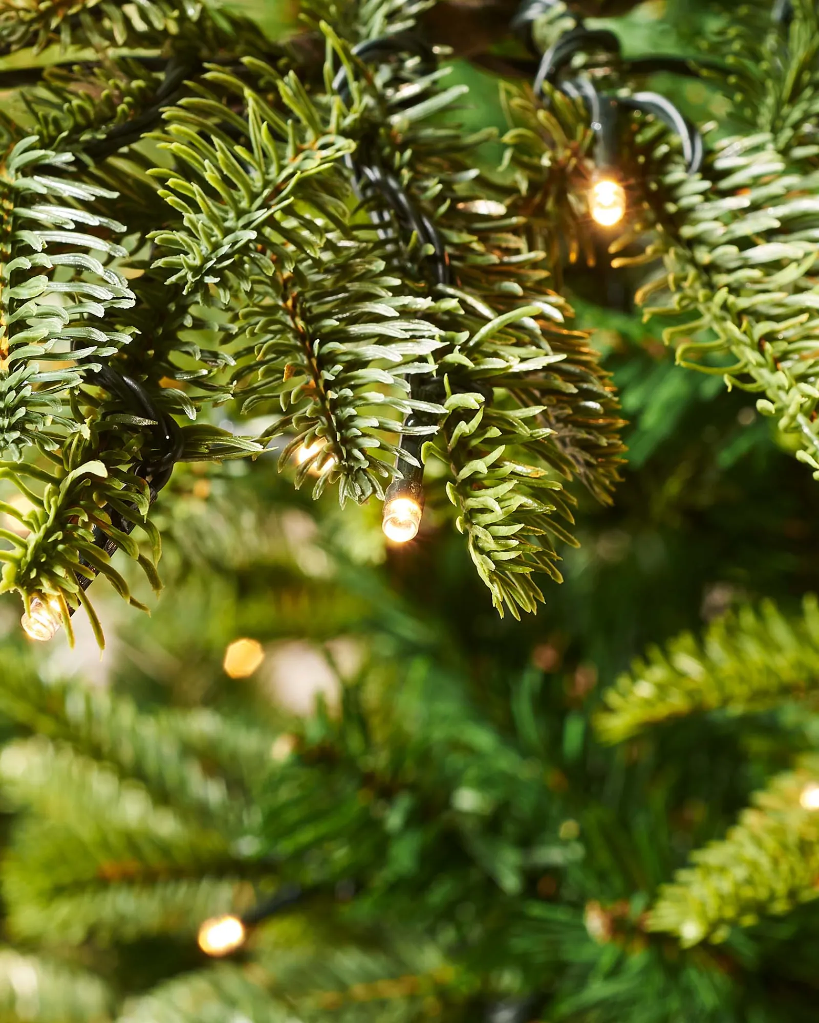 WeRChristmas Pre-Lit Sugar Pine Christmas Tree, 7 Ft