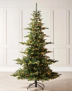 WeRChristmas Pre-Lit Sugar Pine Christmas Tree, 8 Ft