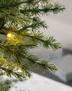 WeRChristmas Pre-Lit Traditional Fir Multi-Function Christmas Tree, 6 Ft
