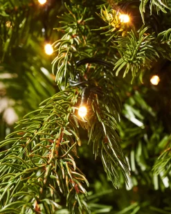 WeRChristmas Pre-Lit Windsor Fir Christmas Tree, 5 Ft