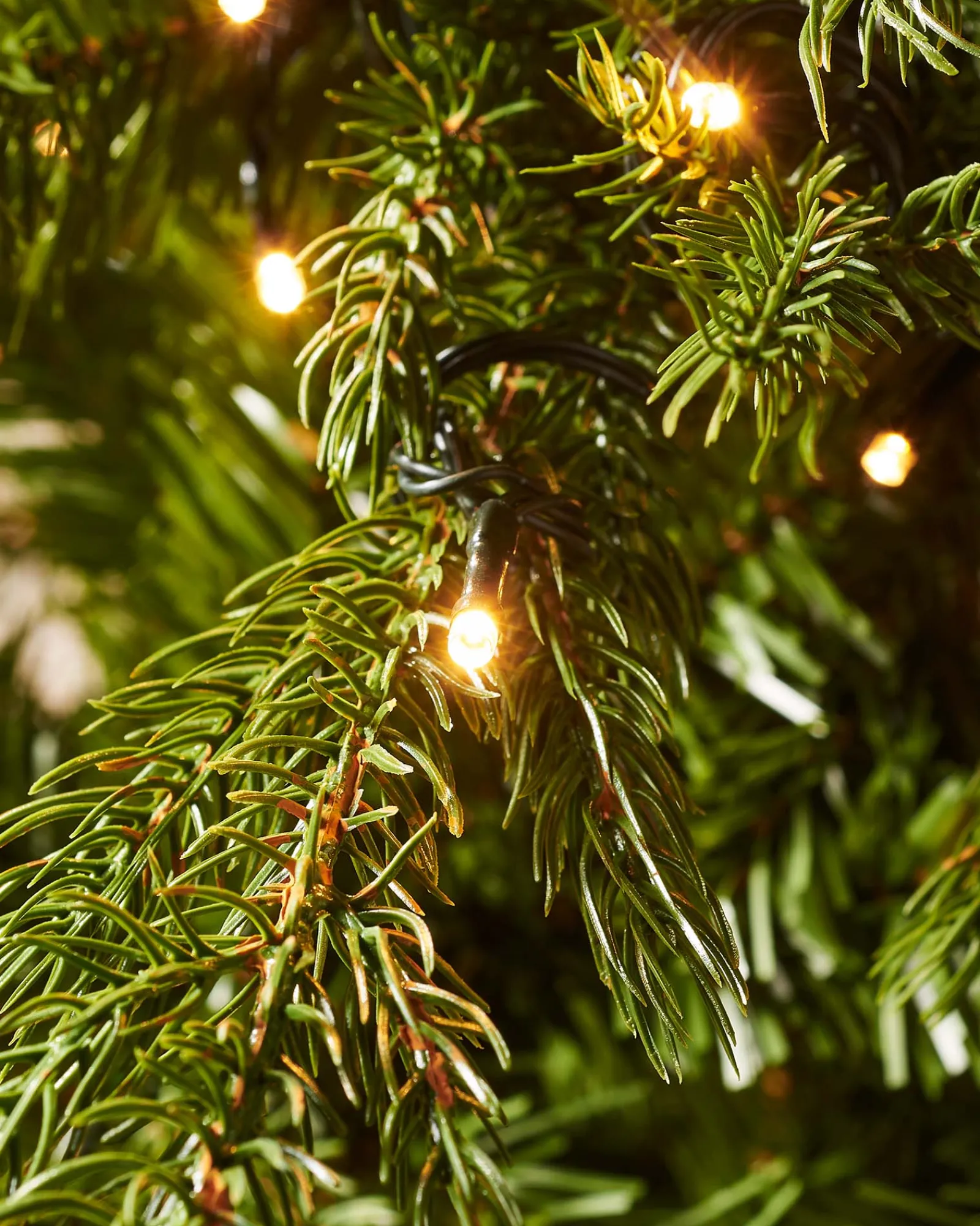 WeRChristmas Pre-Lit Windsor Fir Christmas Tree, 6 Ft
