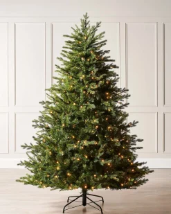 WeRChristmas Pre-Lit Windsor Fir Christmas Tree, 7 Ft