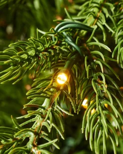 WeRChristmas Pre-Lit Windsor Fir Christmas Tree, Dual Multi Colour, 5 Ft