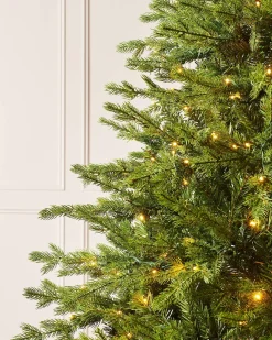 WeRChristmas Pre-Lit Windsor Fir Christmas Tree, Dual Warm White, 6 Ft