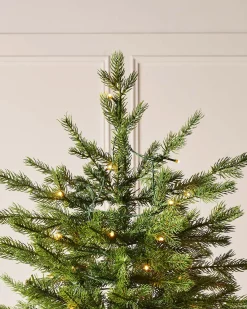 WeRChristmas Pre-Lit Windsor Fir Christmas Tree, Dual Multi Colour, 7 Ft