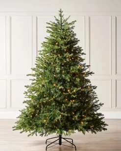 WeRChristmas Pre-Lit Windsor Fir Christmas Tree, Dual Warm White, 8 Ft