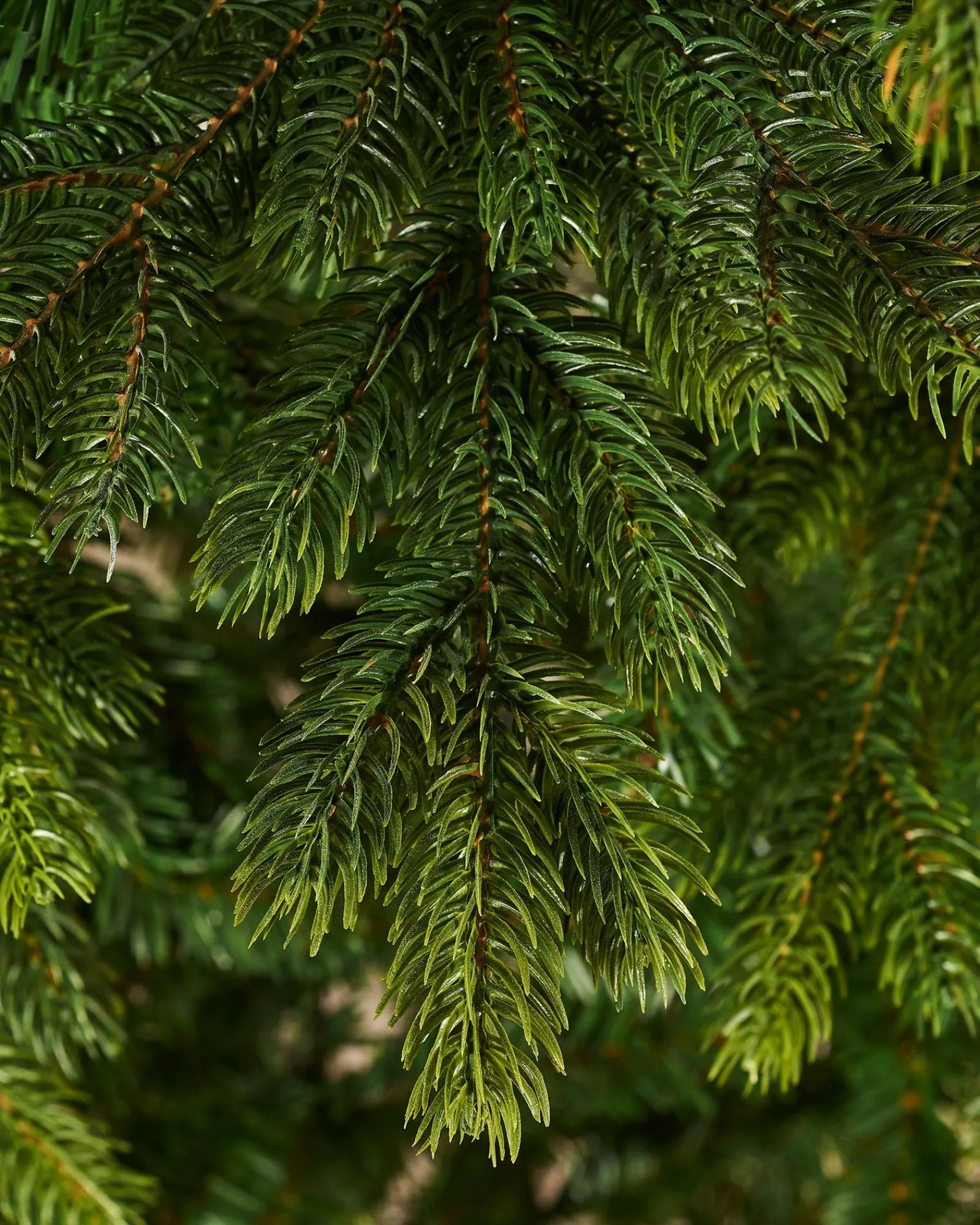 WeRChristmas Regent Pine Mixed Tip Christmas Tree, 7 Ft