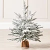 WeRChristmas Snow Flocked Potted Christmas Tree, 2 Ft