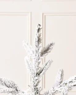 WeRChristmas Snow Flocked Potted Christmas Tree, 2 Ft