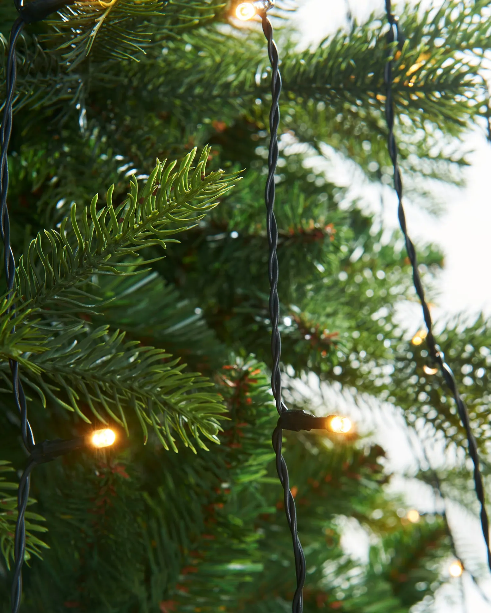 WeRChristmas Warm White LED Christmas Tree Light String, 2.5 M
